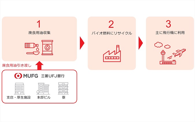 廃食用油のリサイクル（国産SAF化）