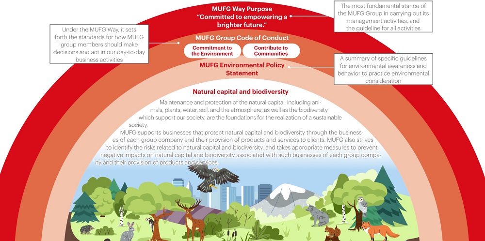 Policies for Natural Capital
