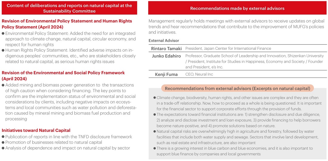 Sustainability Committee / External Advisors