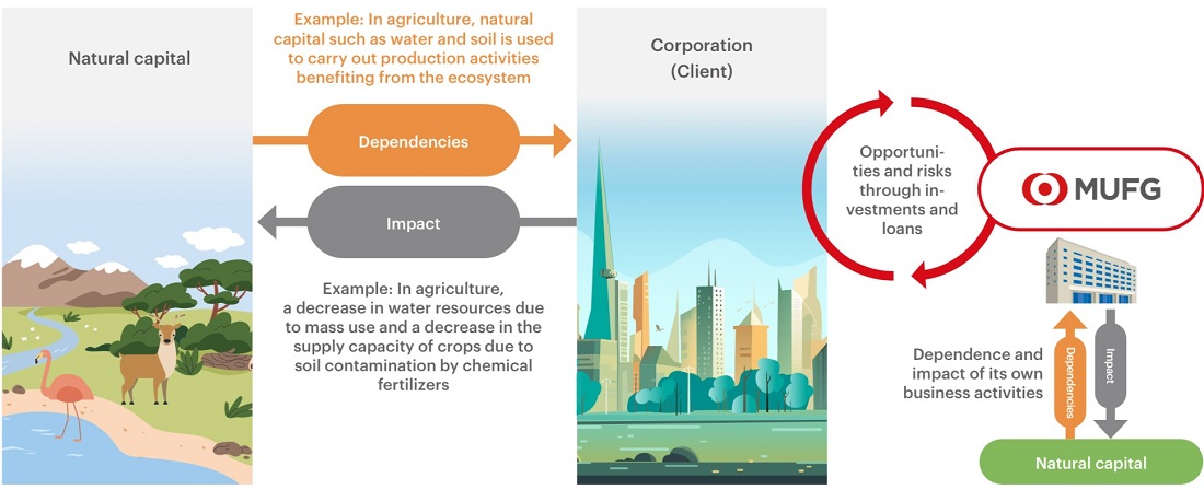 Relationship between Financial Institutions and Natural Capital