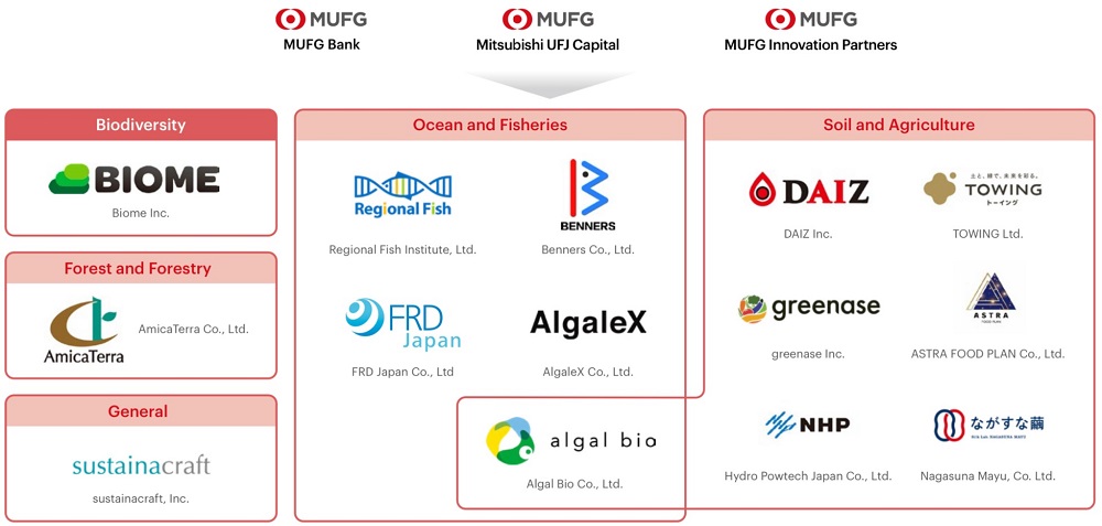 Startup Support and Collaboration
