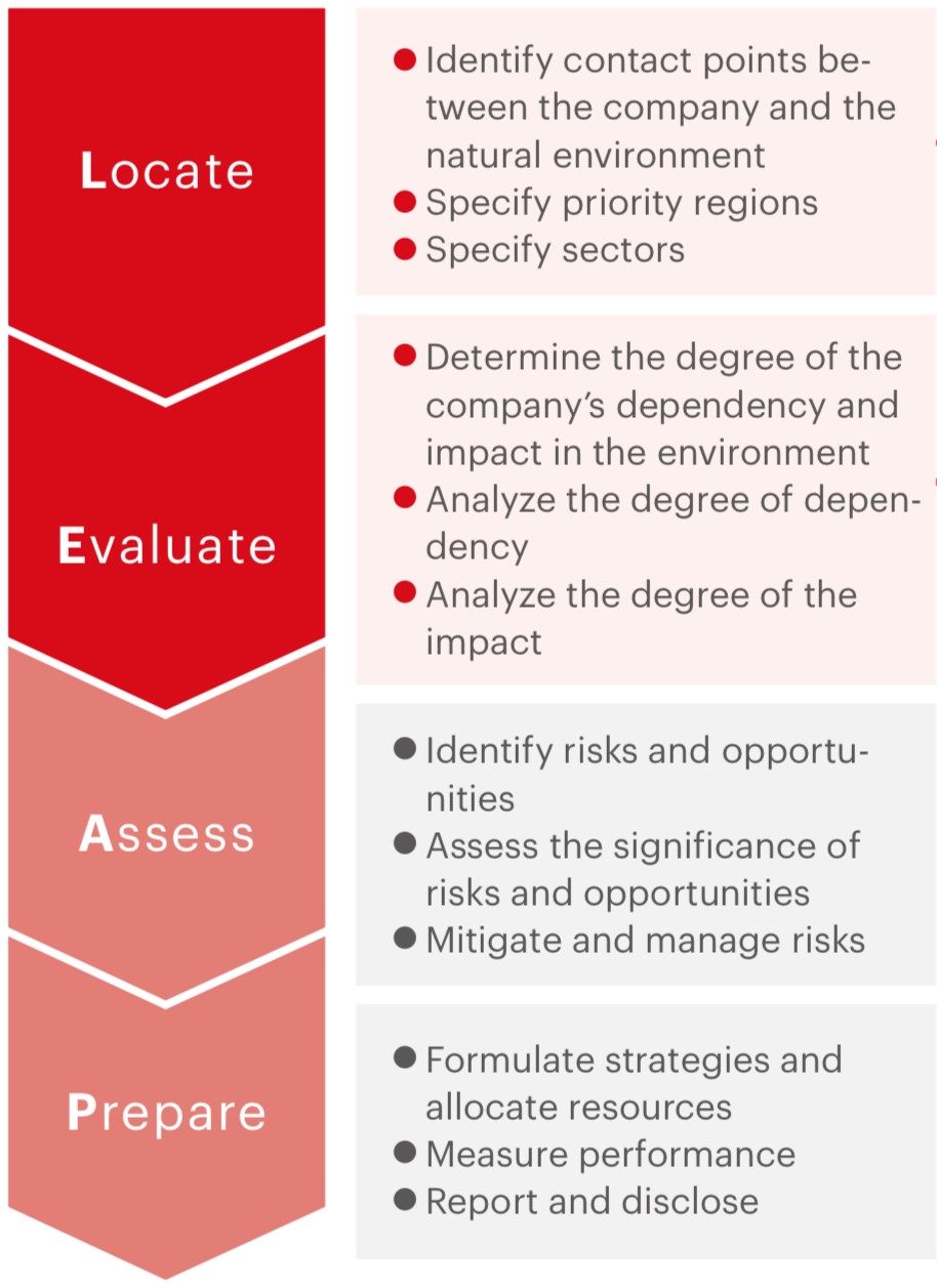 Process to Identifying Opportunities and Risks