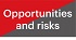 Opportunities/Risks