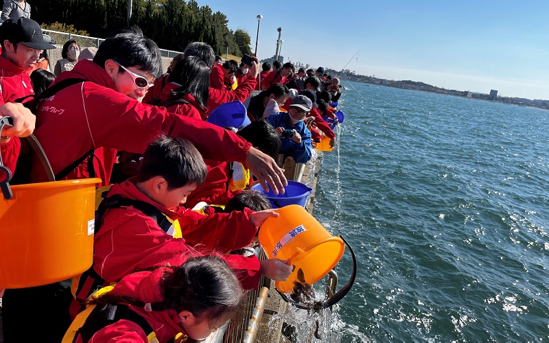 The release of juvenile fish at Shinmaiko Beach in Aichi Prefecture