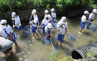 高瀬川で生き物や水質の調査をする様子