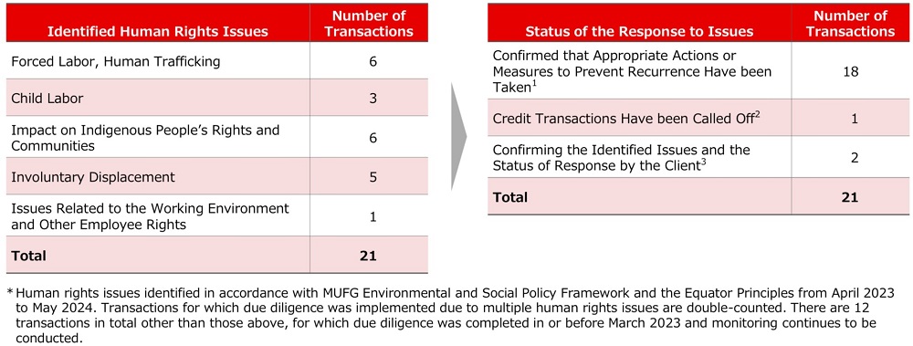 Status of Implementation of Human Rights Due Diligence for Borrowers/Investees